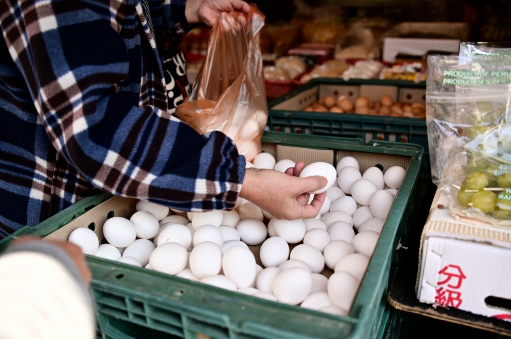 雞蛋編號藏玄機!一票網友勸避開「C」字尾,農業部教4招買到新鮮蛋 雞蛋編號藏玄機!一票網友勸避開「C」字尾,農業部教4招買到新鮮蛋