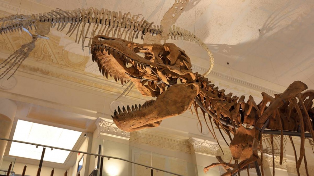 「１室內景點」好拍、門票僅30元！網友推爆：一天都逛不完、超像國外