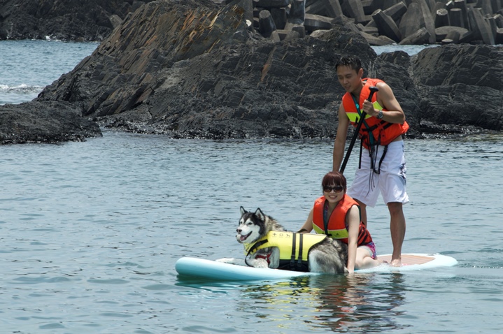 寵物旅遊：宜蘭 跟毛孩玩SUP立槳衝浪