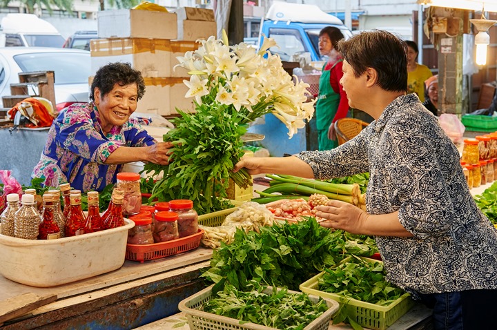 巷仔內才知道 花蓮人的野菜秘密基地