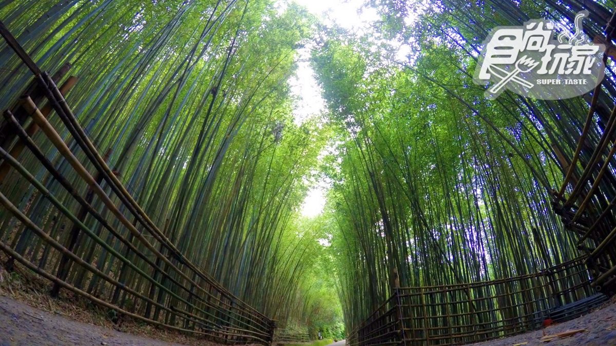 【全台28大綠色祕境】台版富士山、嵐山和迪士尼，網美森林、超夯步道都必拍