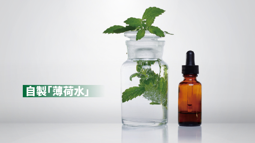 20171227-12-09 - 20171227-12-09.jpg 上班族的小清新!種一盆薄荷,紓壓止癢兼減肥