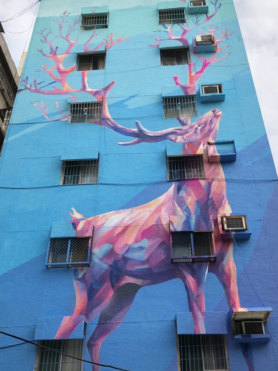 史上最強街頭藝術！30面超美彩繪牆主播1秒變粉絲