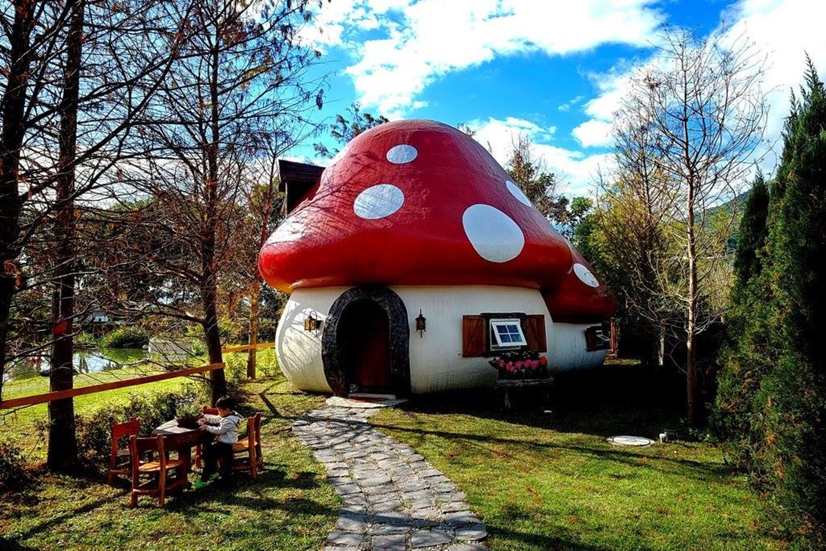 童話風民宿！紅色蘑菇、天空樹屋，每一間都好夢幻！