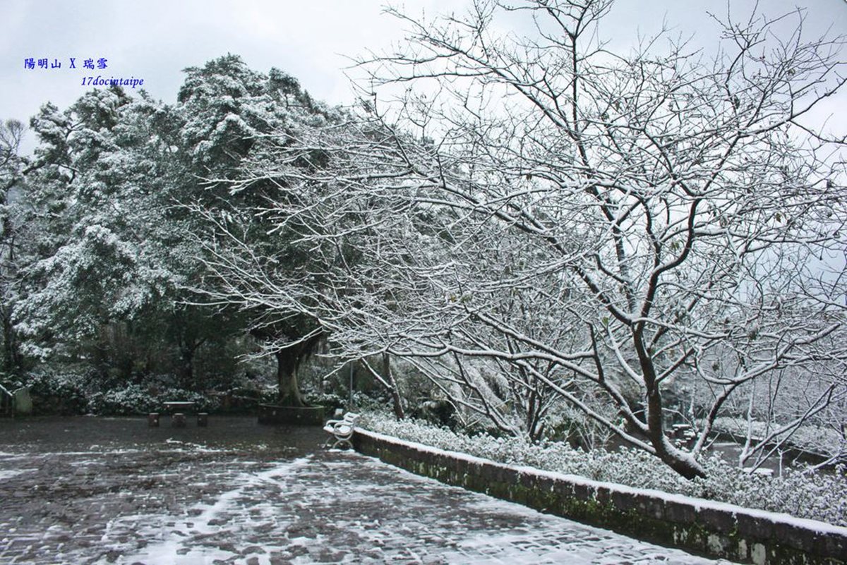 這週末台灣會下雪？霸王級寒流來襲雪景這裡看