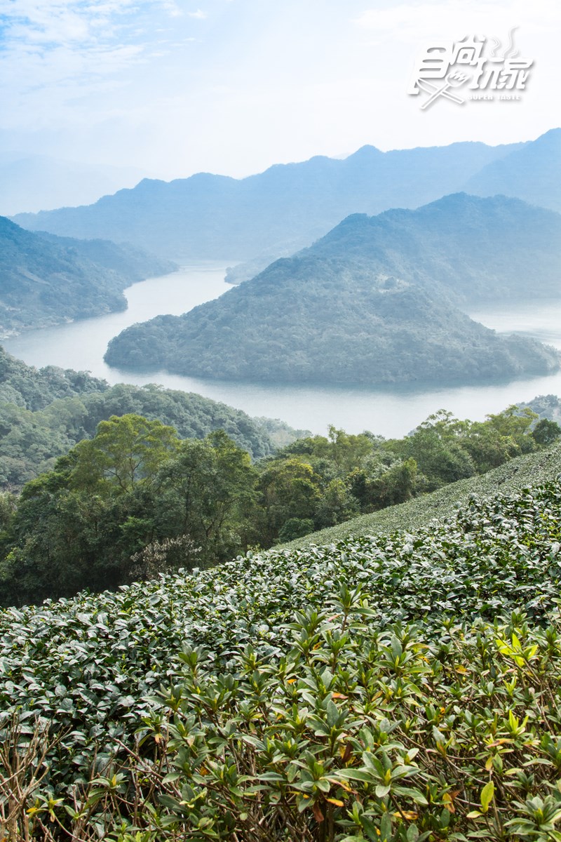 內行人才知道的水庫祕境，湖中竟有「巨型土虱、神龜」  