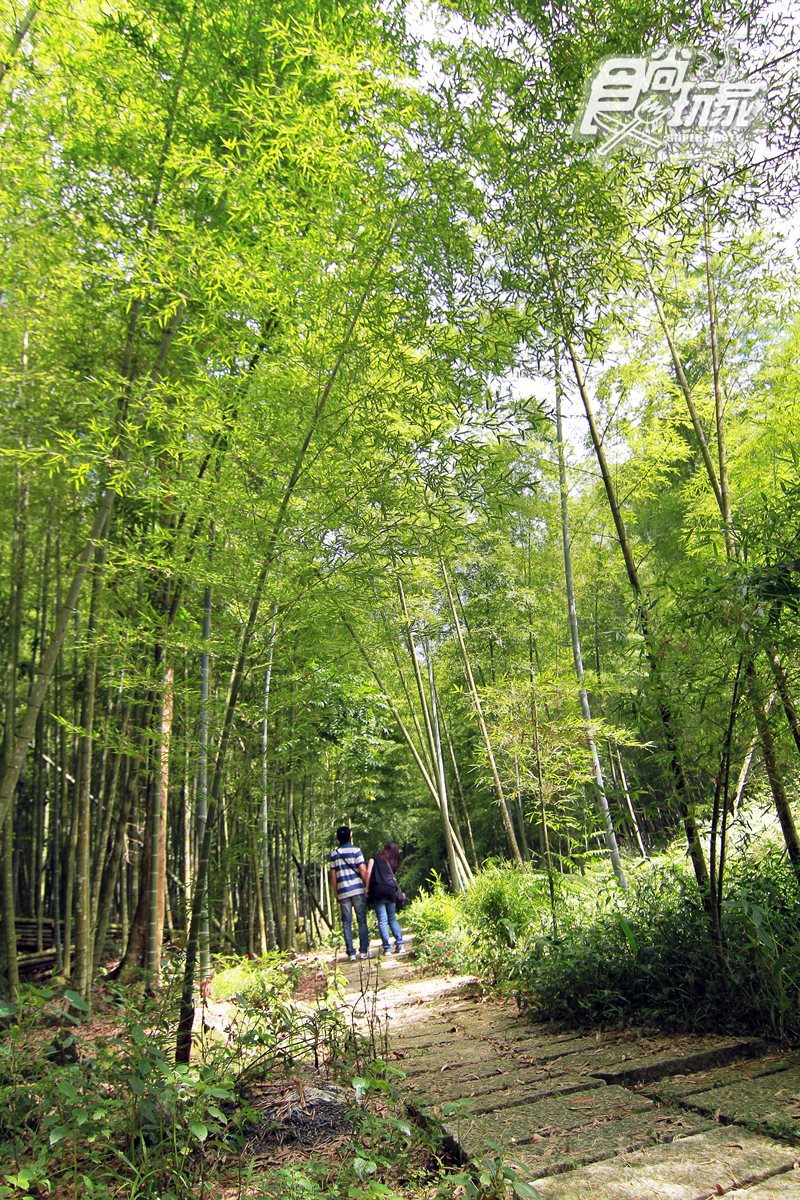 這裡號稱「台版小京都」！全台最美森林小學＋2日遊7熱點