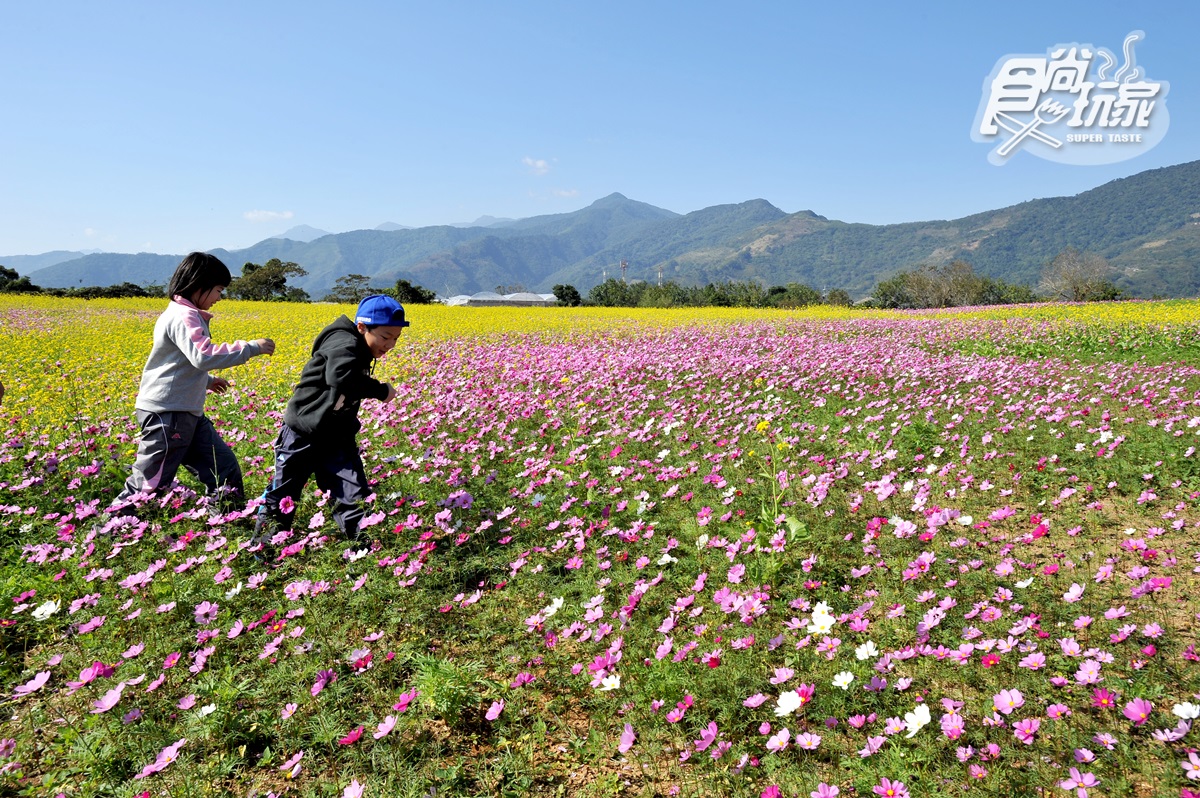 親子連假玩這裡！牧場、農場兒童免費入園