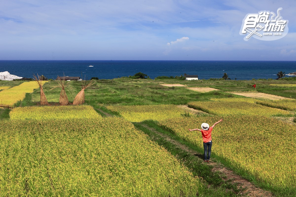 【春假怎麼玩】花蓮最美海線兜風去(1)海景第一排吃阿美族好味