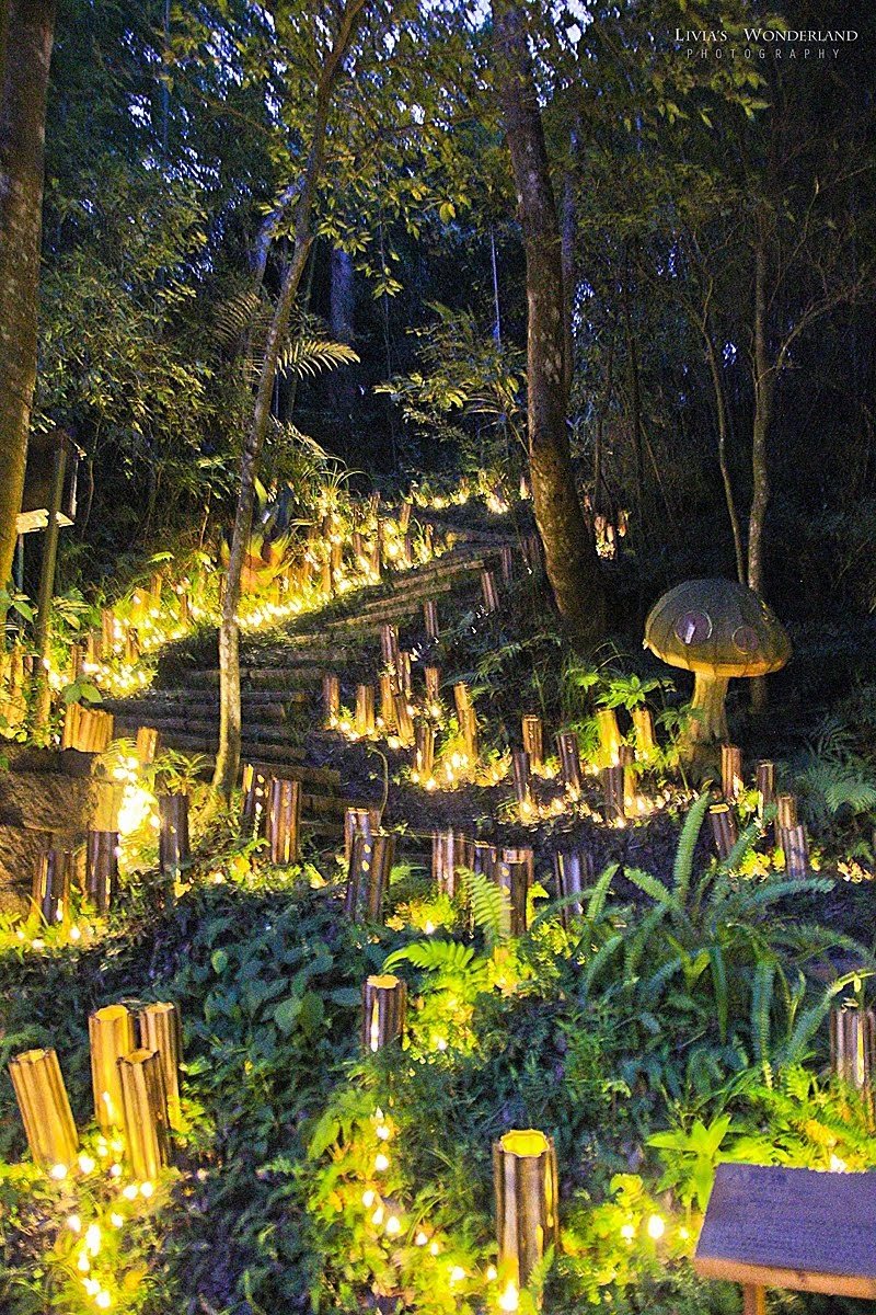 IG打卡新亮點！新竹「蘑菇森林」地景藝術越夜愈美麗