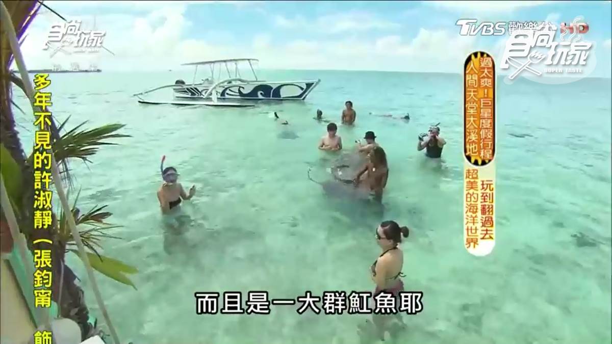 不是吧？魟魚在撒嬌 還可以超近距離看鯊魚！