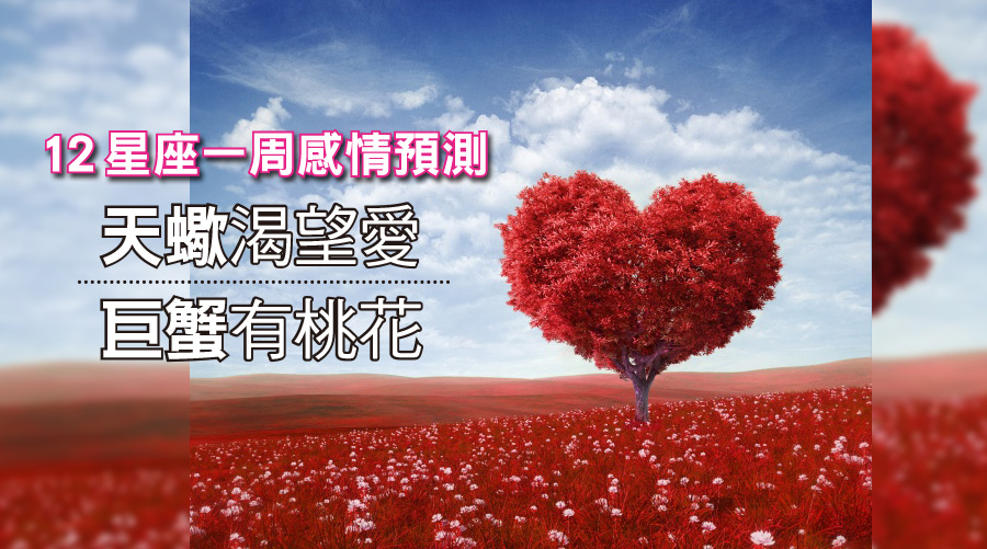 12星座一周感情預測：天蠍渴望愛，巨蟹有桃花