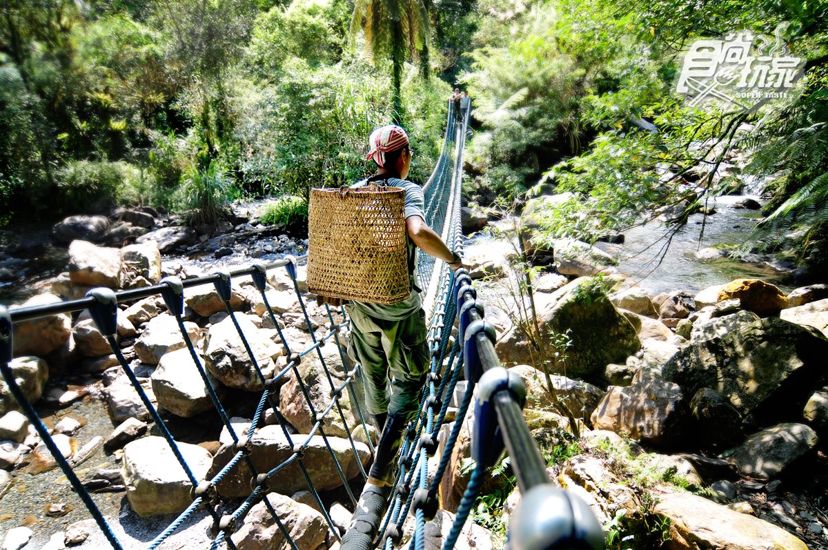 吹天然冷氣！宜蘭「台版亞馬遜森林」：腳掌寬繩橋、救命寶物「水鴨腳海棠」、一線天巨石