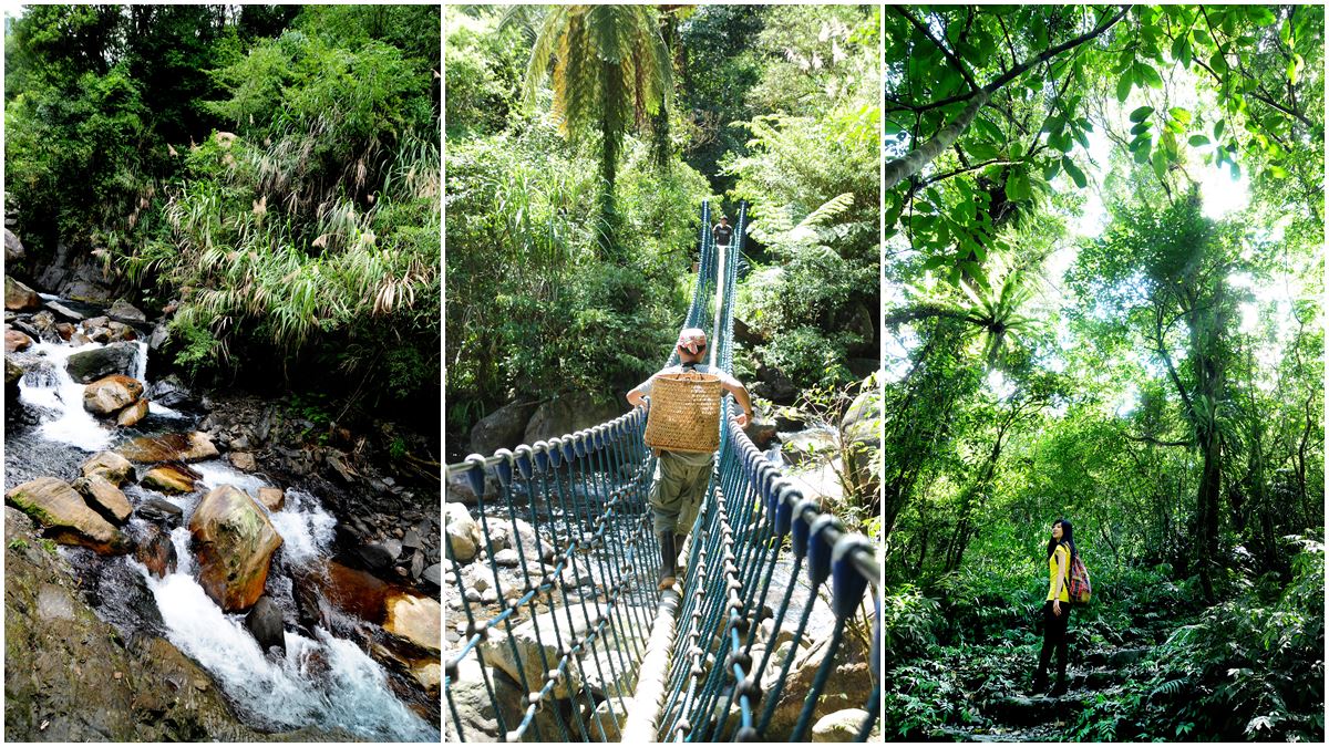 吹天然冷氣！宜蘭「台版亞馬遜森林」：腳掌寬繩橋、救命寶物「水鴨腳海棠」、一線天巨石