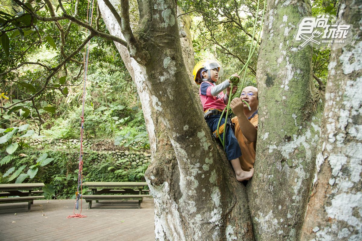 暑假快筆記！全台6個「野外超放電」親子熱點：樹冠層玩滑索、草地滾飛球、小小漆彈營、跟鱷魚拔河