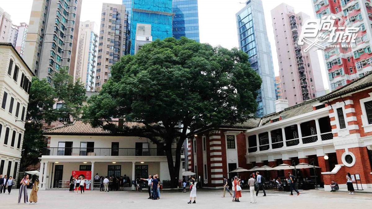香港打卡新熱點 百年警署監獄「大館」必拍8點中有神祕力量芒果樹