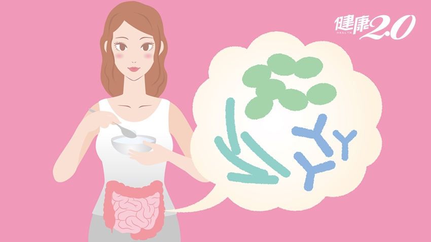 腸道健康，過敏就改善了！專家教你如何吃好菌