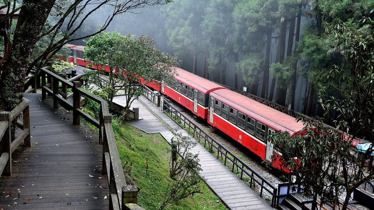 小火車復駛了！一次看遍「阿里山森鐵」亮點：千年光武檜神木、樹靈塔傳說、觀日原始步道