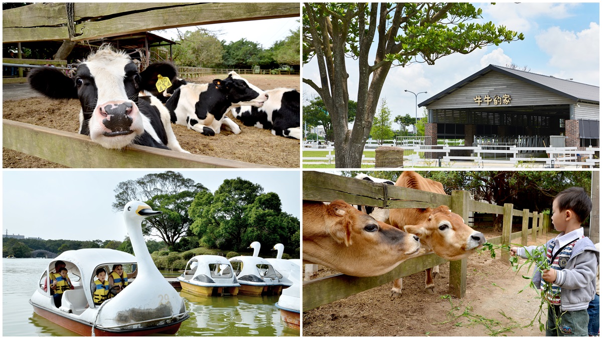放假遛小孩！這2家牧場8月免費入場，鮮奶霜淇淋+餵牛兒好去處！