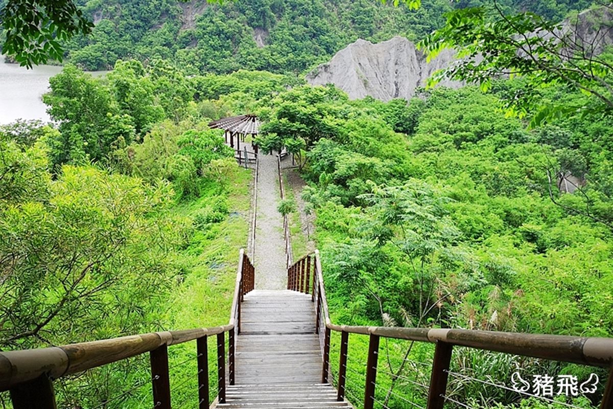 寒假衝這裡！台南「龍崎」親子遊5亮點：貓咪階梯、夢幻湖、彩繪村