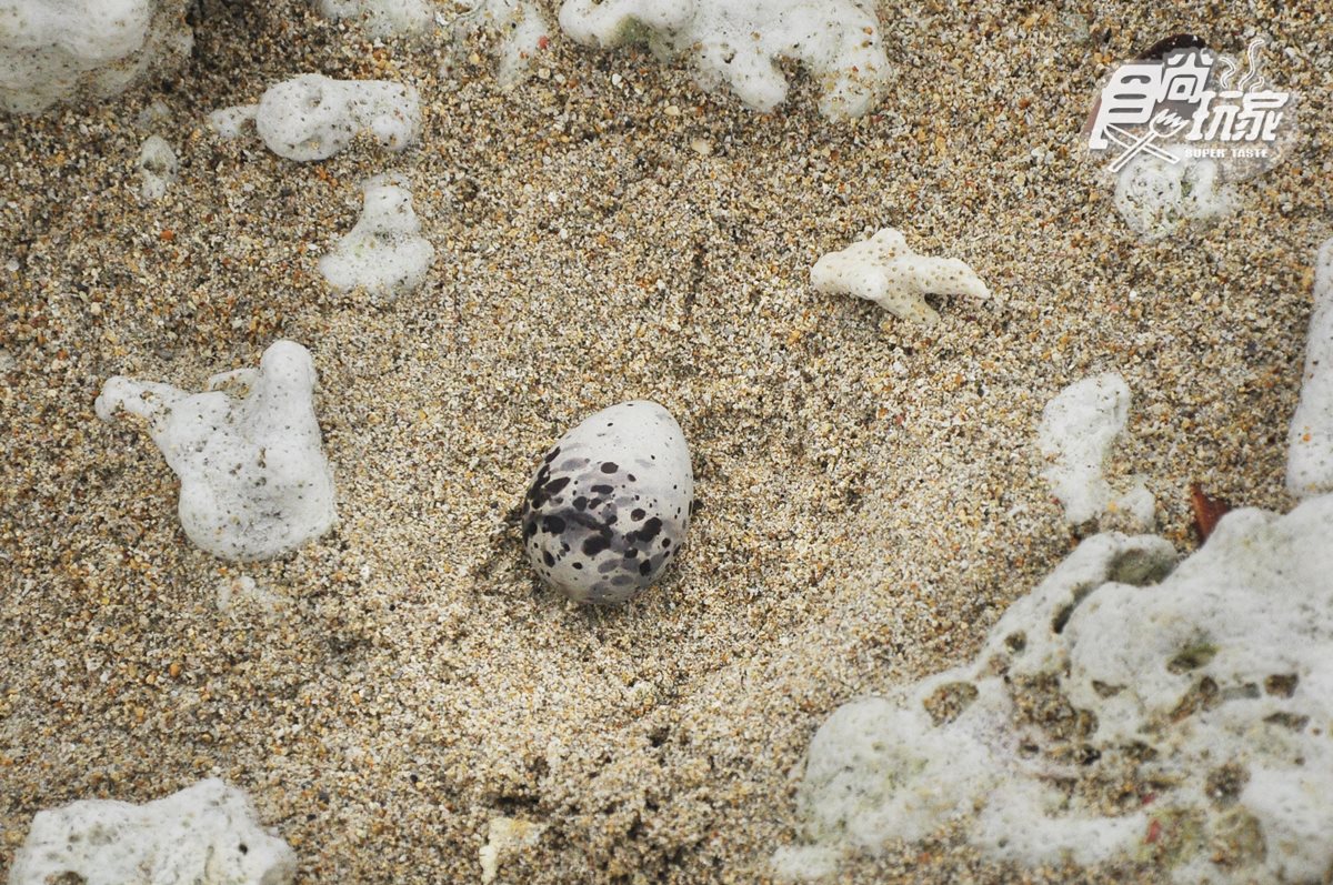 澎湖也能這樣玩！「偷渡無人島」新體驗：白色活龍灘、海上金庫、火山百褶裙岩、潮間帶挖寶