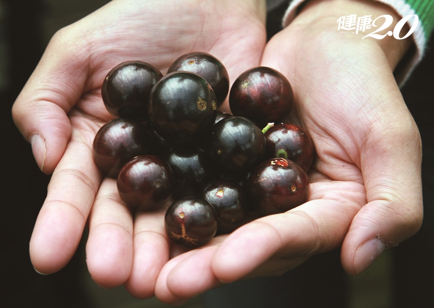 這水果你認識嗎？「樹上的紫寶石」護眼美膚，還能穩定情緒