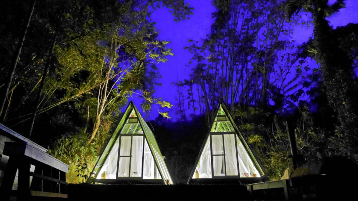 超酷露營這3種：「玻璃帳」數星星、「蒙古包」賞海景、「樹屋」看書
