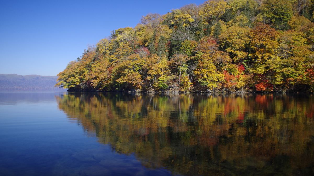 日本政府出錢送你玩北海道！最多5晚住宿3折 秋天賞楓、露營車自駕剛剛好 