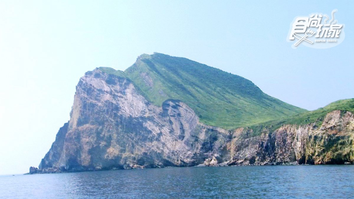 從來沒這麼近看過龜山島！搭船賞八景 人品好還可遇到海豚開趴踢