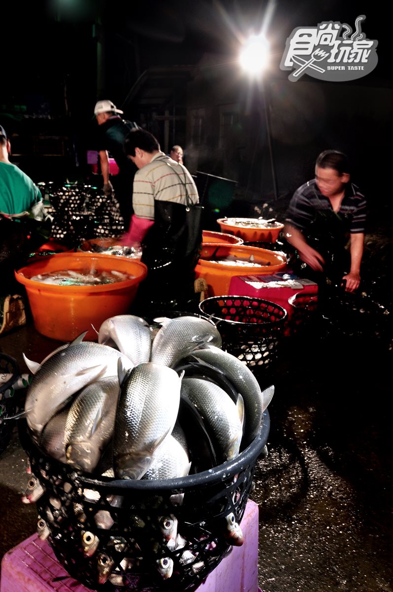 台南吃「牛奶魚」賞「黑琵」+順遊6亮點：鹽鹵足之浴、搭竹筏賞生態、吃「七股三寶」