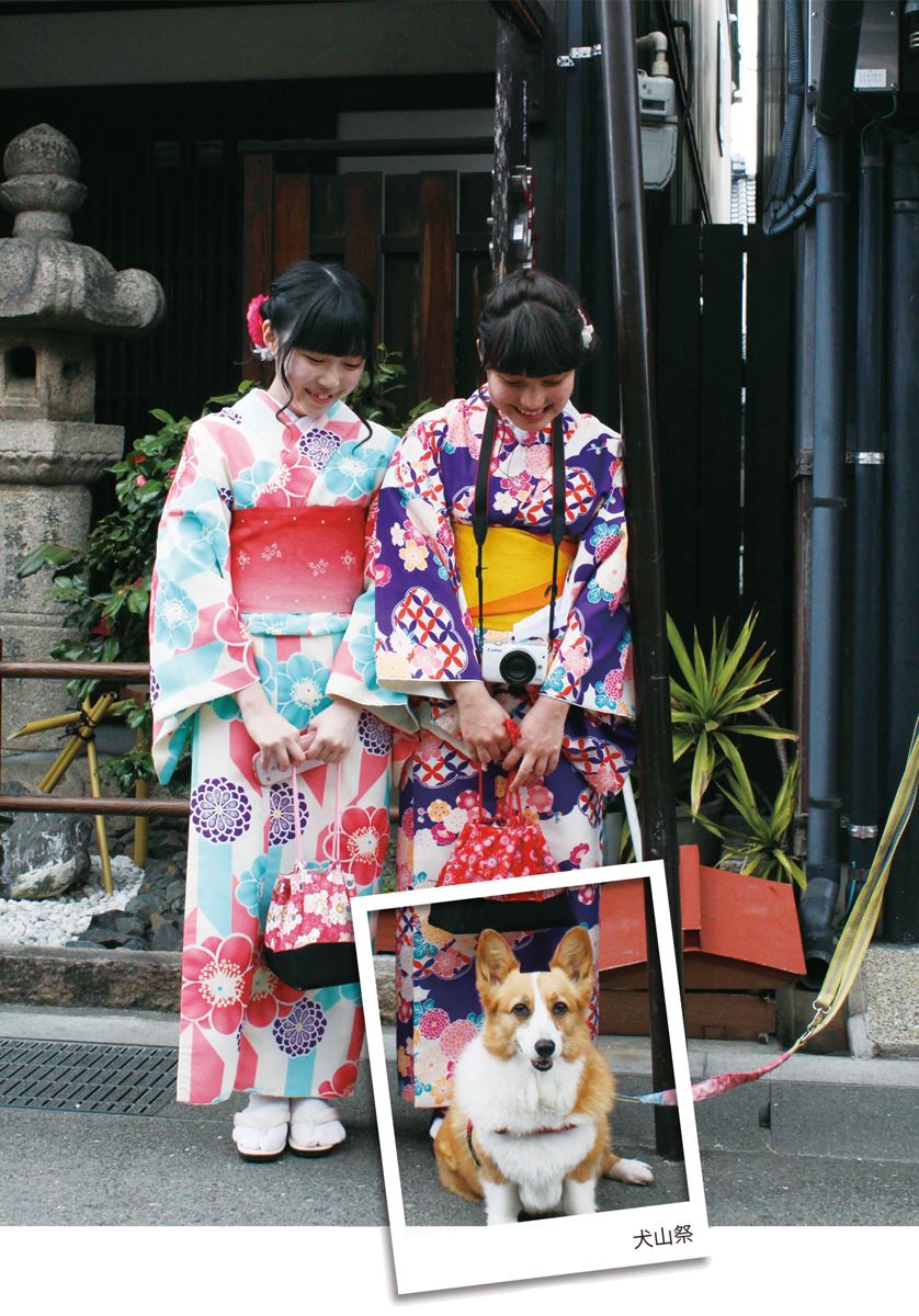 1人1犬祕遊日本！「犬山祭」看3層花車遊街，神社買犬用御守
