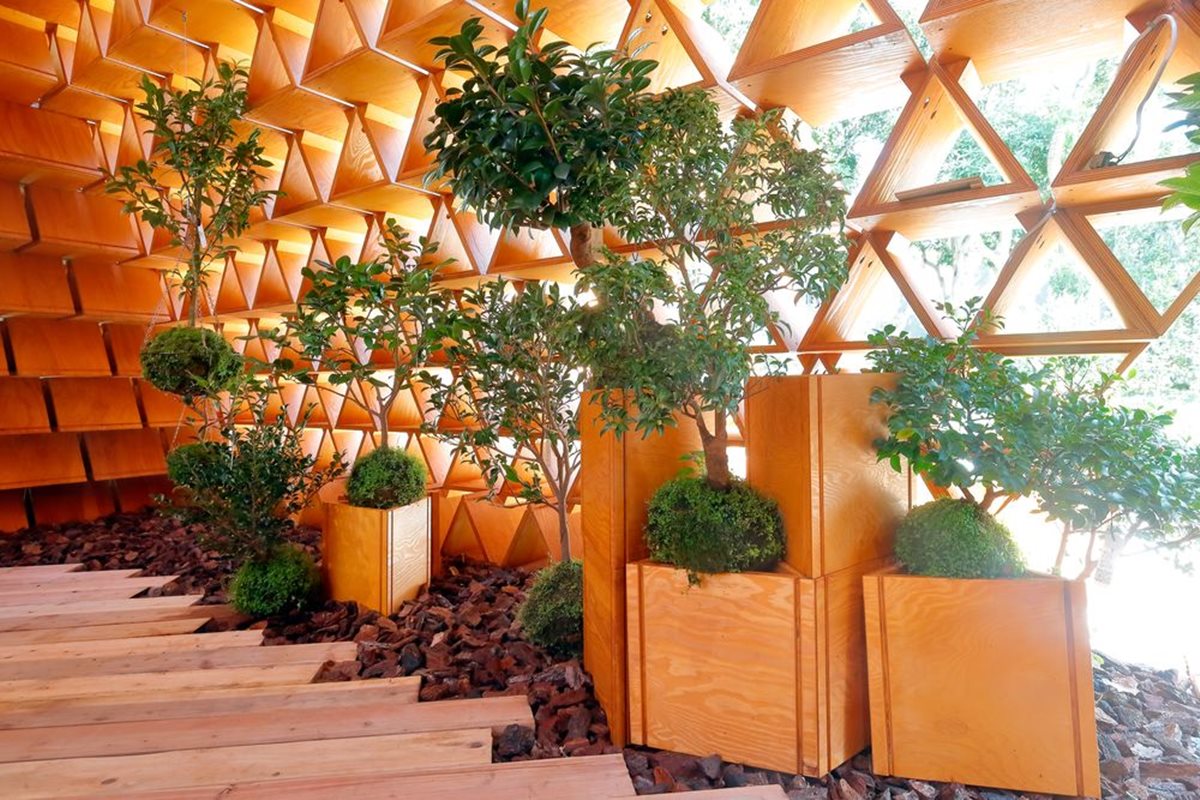 台中花博出現「金字塔」展出上千種茶花！大師用1,472個積木打造（文末抽台中老爺住宿）