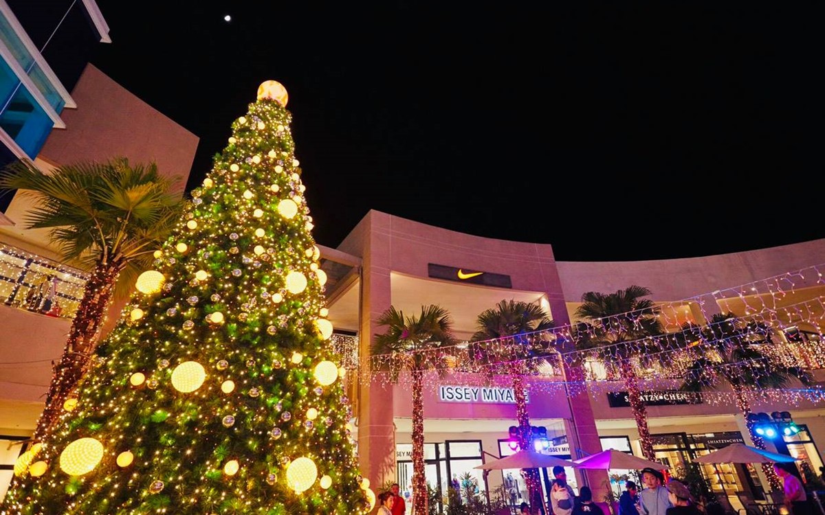 全台最美10大耶誕樹 「拍照「逛街」夢幻景點收好收滿