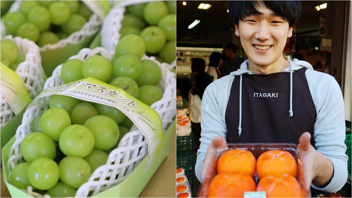 遊日本必買超好吃水果！東北蘋果、甜柿、麝香葡萄 大又香錯過可惜