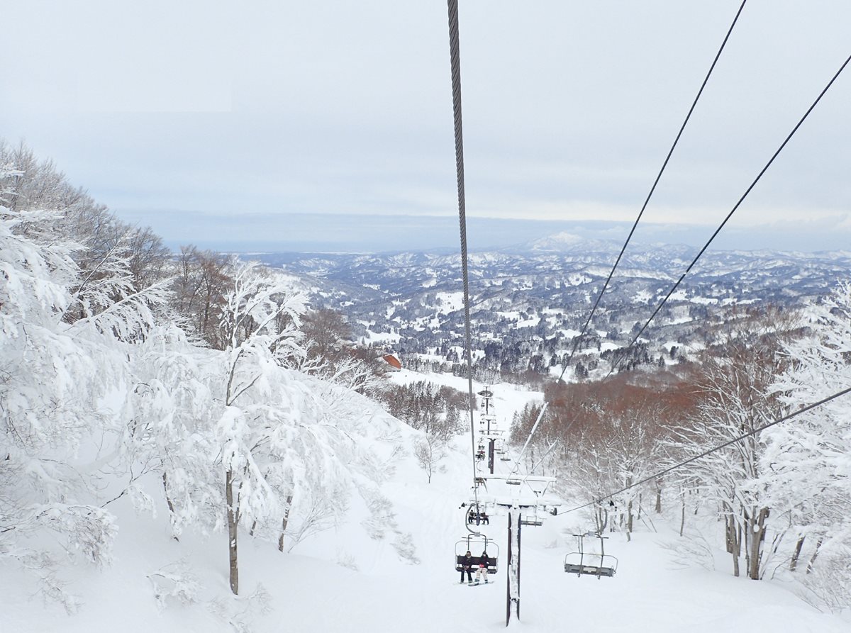 帶孩子滑雪去！玩造浪池、搭纜車 日本這3處雪場超好玩