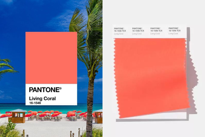Pantone 2019年度色：活珊瑚橘！讓妝容、穿搭更有活力