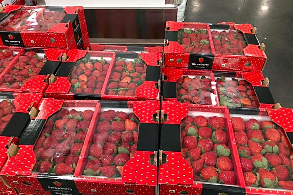 網友揪團搶！限量開賣「好市多大湖草莓」比前兩年更便宜