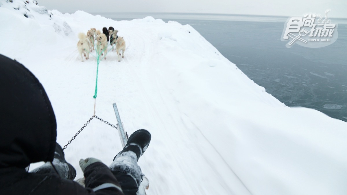 玩家成就解鎖！傳說中的「狗拉雪橇」 北極圈格陵蘭體驗野性的呼喚【食尚小編出任務】
