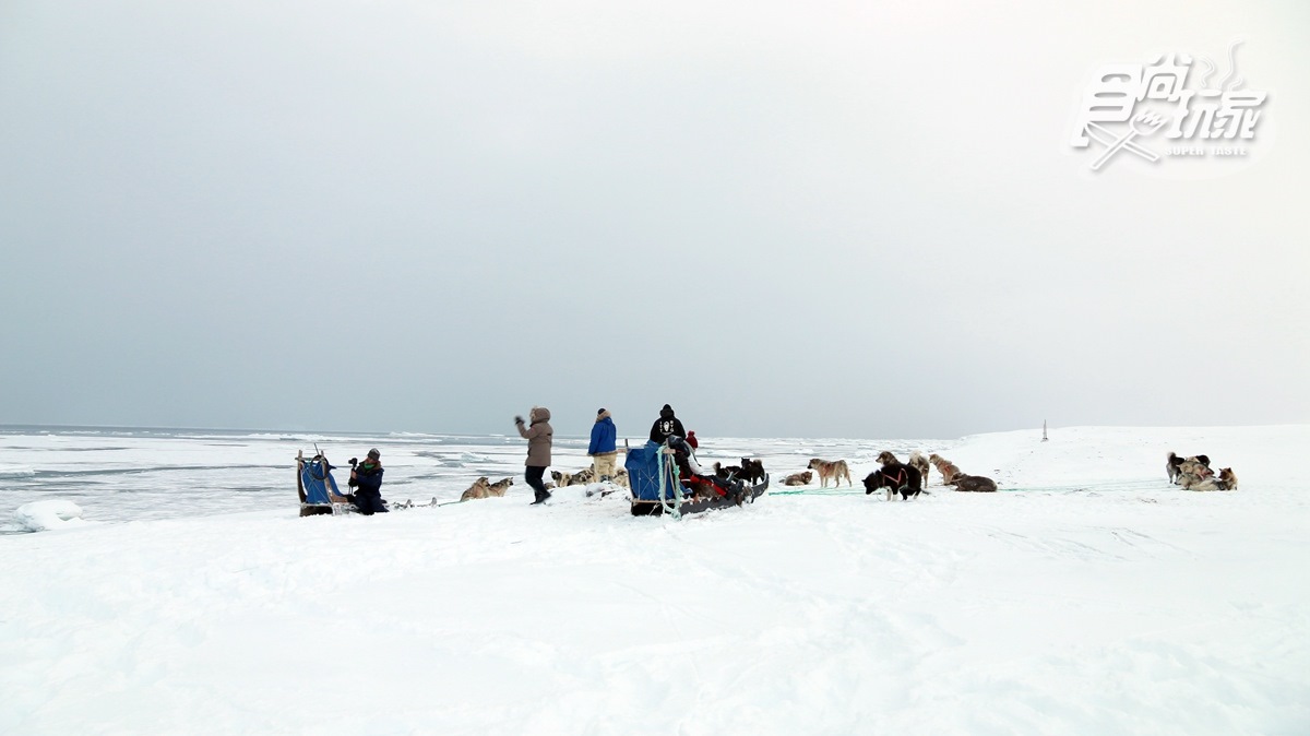 為什麼不可以摸雪橇犬？零下20度怎麼穿才暖？格陵蘭「生存守則」