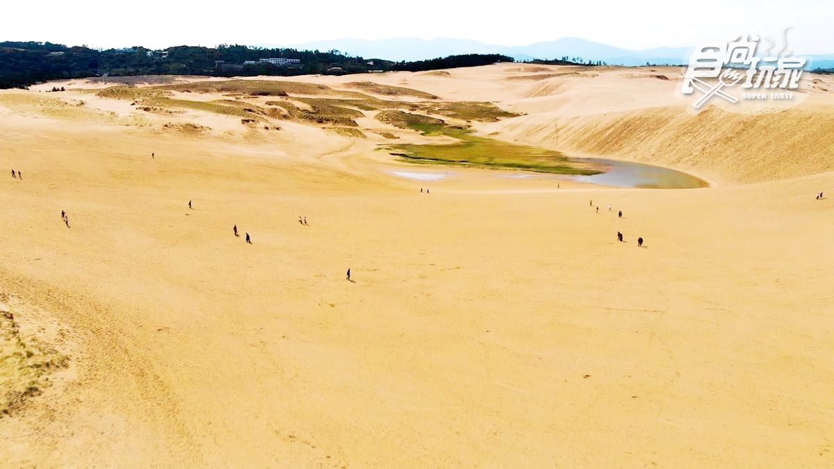 10萬年奇景！美拍壯觀砂丘，還可騎駱駝、越野車、玩飛行傘