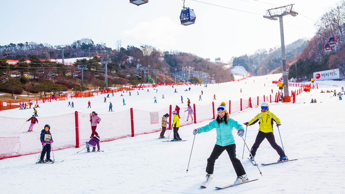 高CP值「韓國滑雪場」！這幾間初學者也能輕鬆征服