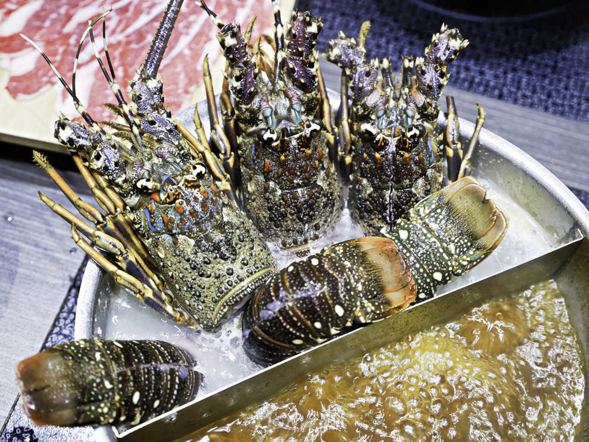 太貼心！宜蘭「火鍋親子餐廳」 599吃活龍蝦還有溜滑梯