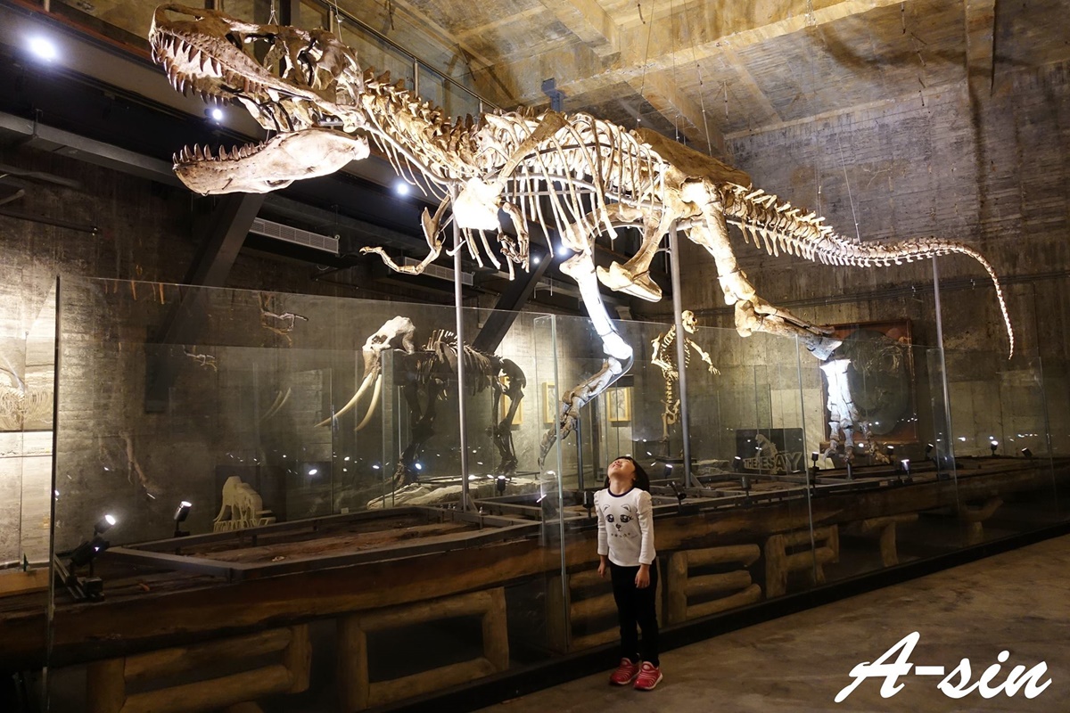 侏儸紀再現！宜蘭最新景點 看全世界第二完整暴龍化石