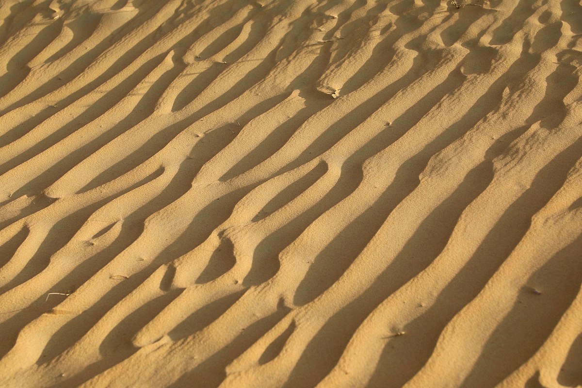 此生必遊超酷體驗！到杜拜當大亨  開車進沙漠竟然要先「落風」