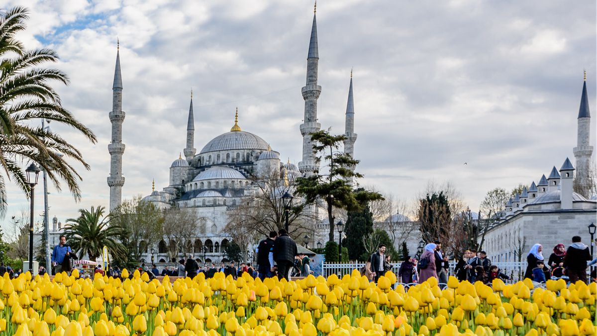 比荷蘭更美！2,000朵鬱金香盛開，土耳其伊斯坦堡要玩趁4月|食尚玩家|土耳其國際鬱金香節|喇咧節|食尚玩家