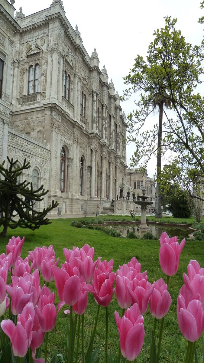 比荷蘭更美！2,000朵鬱金香盛開，土耳其伊斯坦堡要玩趁4月