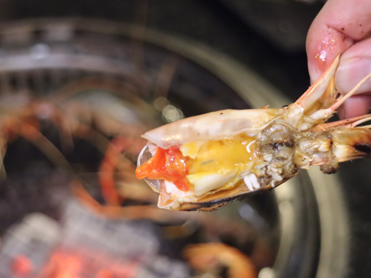 【新開店】台北第一家流水蝦！還有「滿滿生蠔吧」任你吃到飽