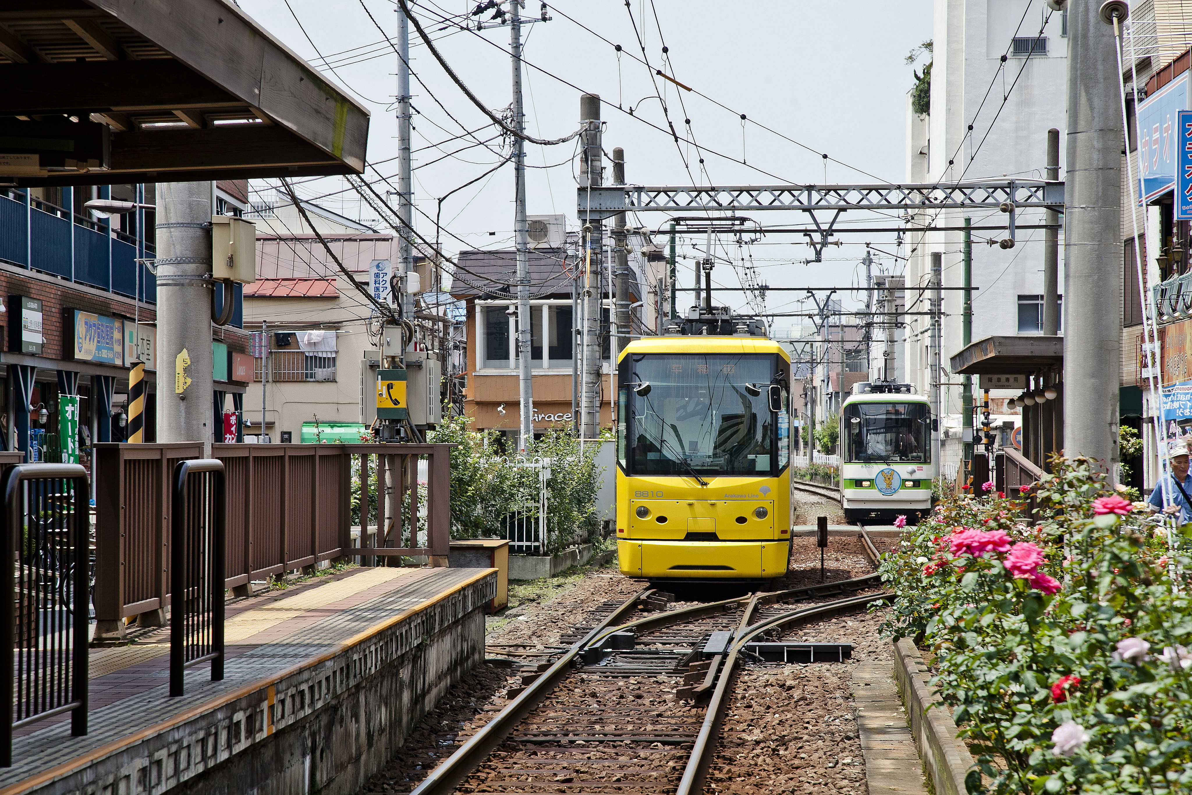 當一日江戶人！搭Tokyo Sakura Tram（都電荒川線）體驗江戶老舊情懷！