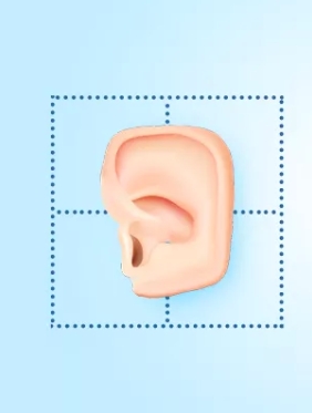 日本瘋傳：快看你的耳朵！7種形狀分析你的性格，這個＝受歡迎