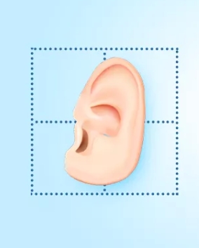 日本瘋傳：快看你的耳朵！7種形狀分析你的性格，這個＝受歡迎